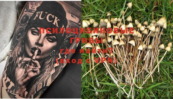 PSILOCYBIN Беломорск