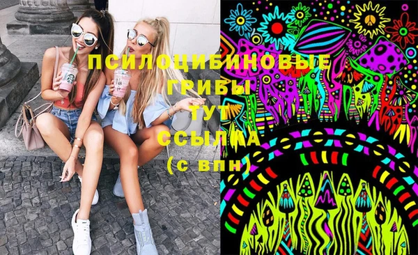 герыч Арсеньев