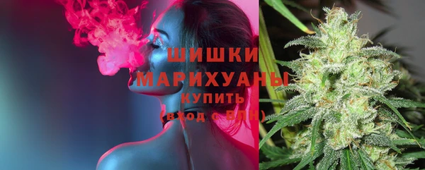 PSILOCYBIN Беломорск